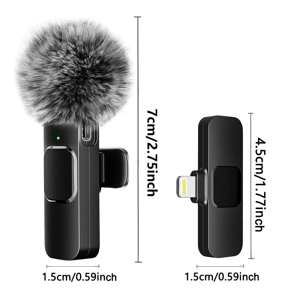 NEW Wireless Microphone type-c